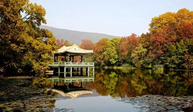 中山陵景区