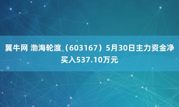翼牛网 渤海轮渡（603167）5月30日主力资金净买入537.10万元
