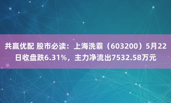 共赢优配 股市必读：上海洗霸（603200）5月22日收盘跌6.31%，主力净流出7532.58万元