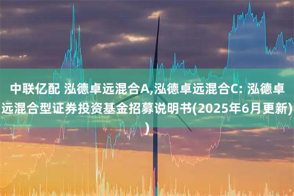 中联亿配 泓德卓远混合A,泓德卓远混合C: 泓德卓远混合型证券投资基金招募说明书(2025年6月更新)